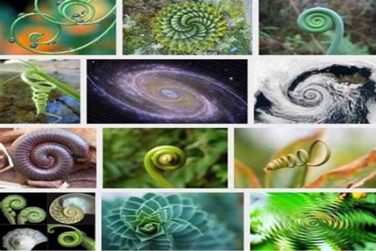 spiral symbol meaning