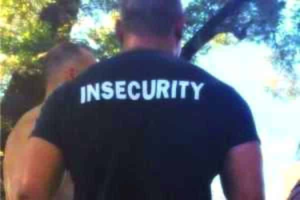 Insecurity and Fear
