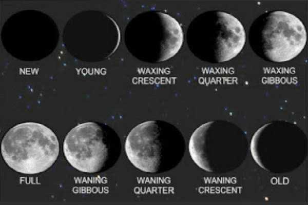 Moon Phases ― Contemplating the 13 Month Calendar - SP4SE
