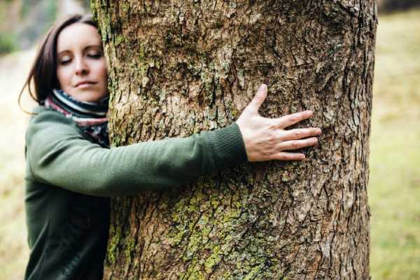 How to Connect With Nature Retreat Tree Grounding Exercise
