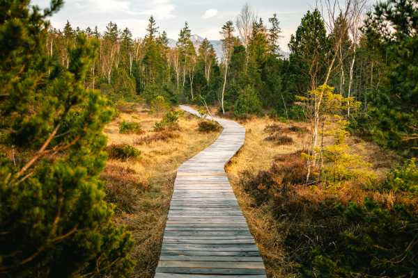 Choosing Your Own Path to Your Spiritual Freedom
