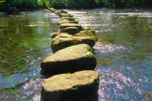 The Stepping Stones of Life and the Lessons of Wisdom