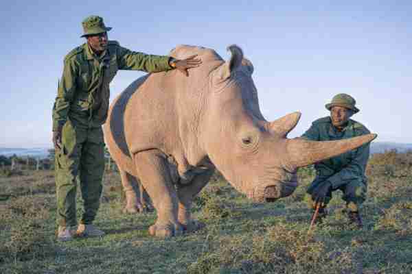 Karma As A System of Capacities for Pattern Change