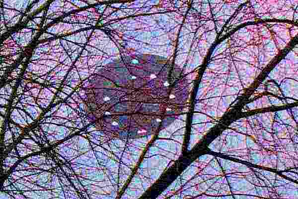 Interpreting Non-ordinary Experience, Metaphysical and Unusual Events