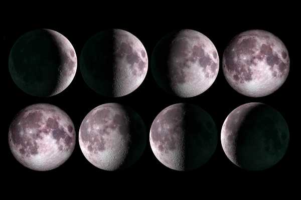 Lunar Phases The Major and Minor Phases of the Moon