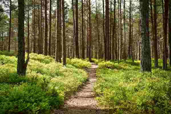 Stages of Spiritual Maturity