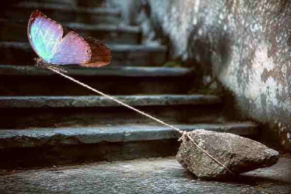 The Heavy Burdens and Emotional Baggage We Carry