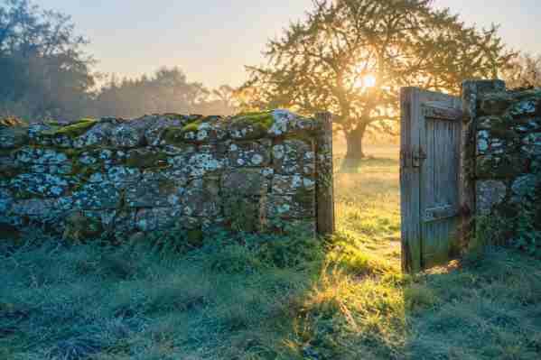 Examining Non-Negotiable Sacred Ground